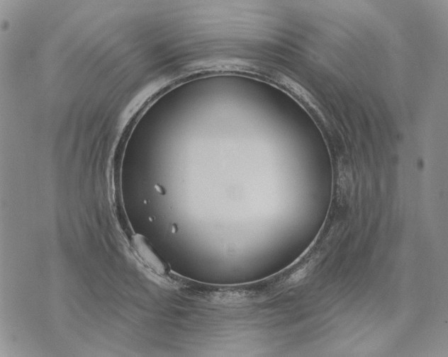 X0000072971082200608041212