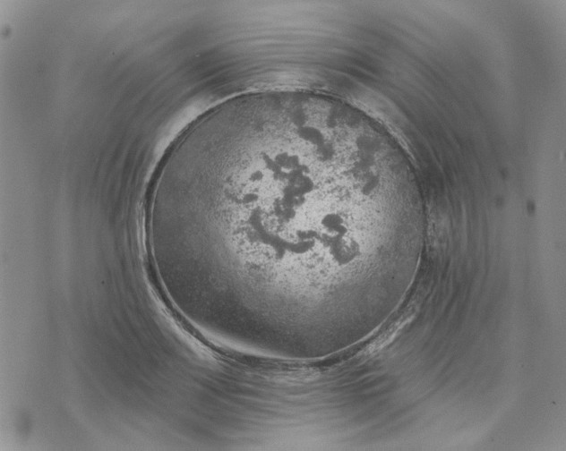 X0000072971083200608041212