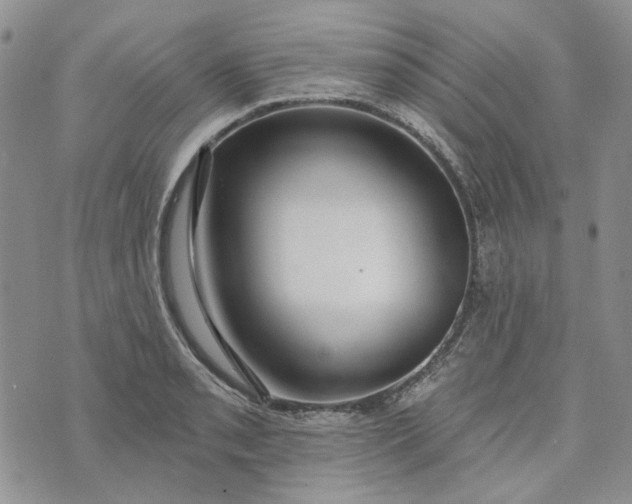 X0000072971085200608041212