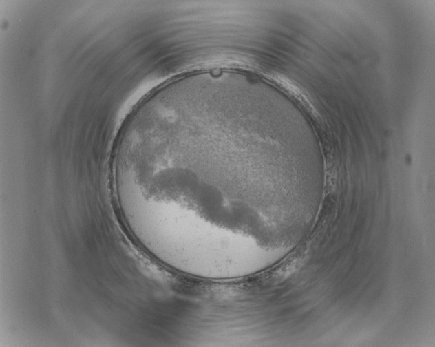 X0000072971086200608041212