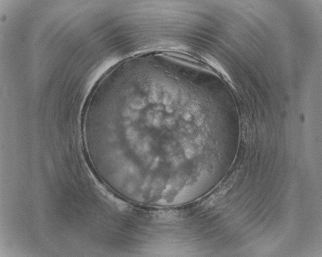 X0000072971087200608041212