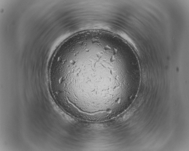 X0000072971088200608041212