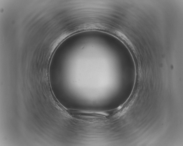 X0000072971089200608041212