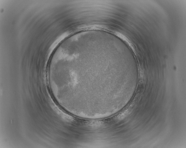 X0000072971090200608041212