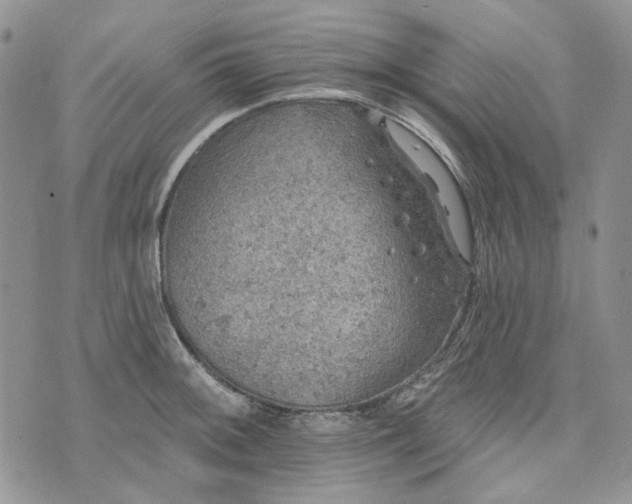 X0000072971092200608041212