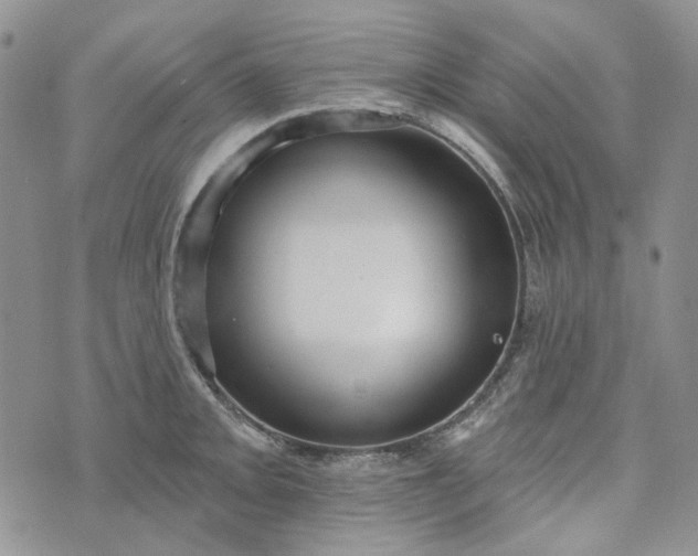 X0000072971093200608041212