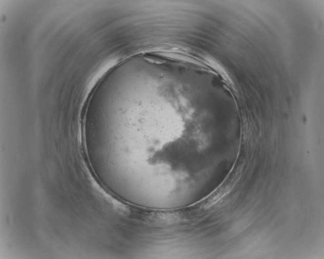 X0000072971095200608041212