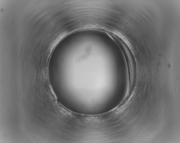 X0000072971097200608041212