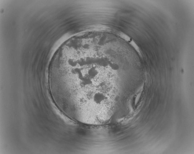 X0000072971099200608041212