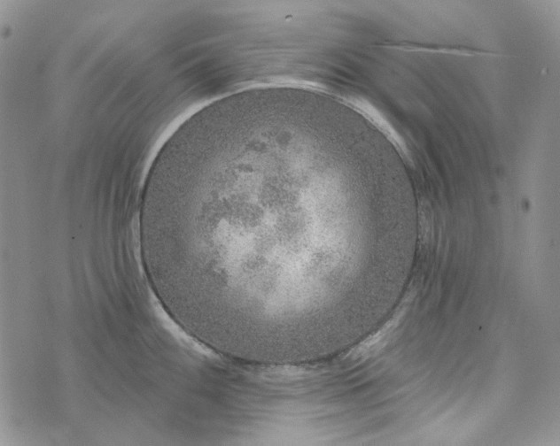 X0000072971100200608041212