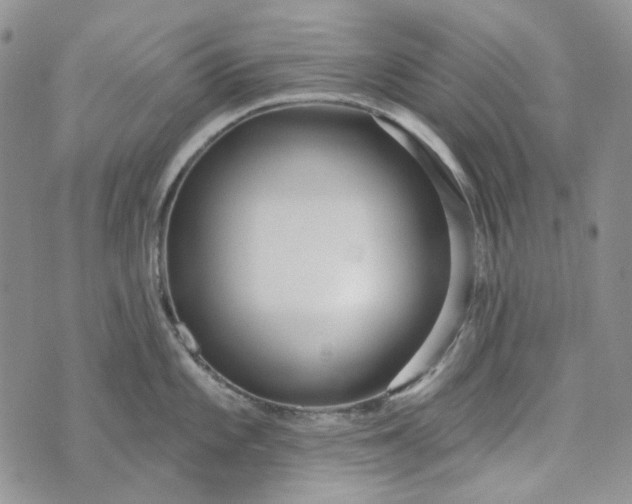 X0000072971101200608041212