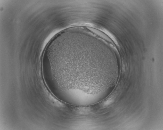 X0000072971102200608041212