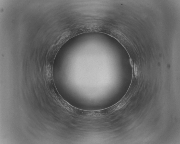 X0000072971107200608041211