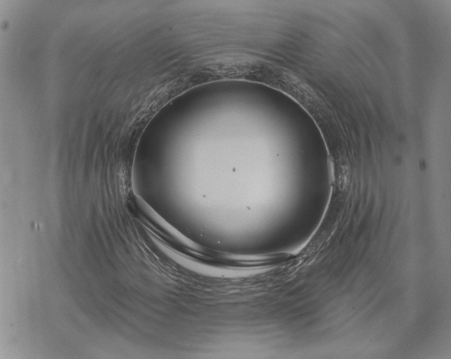 X0000072971108200608041211