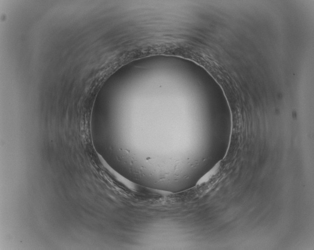 X0000072971109200608041211