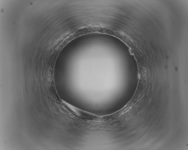 X0000072971110200608041211