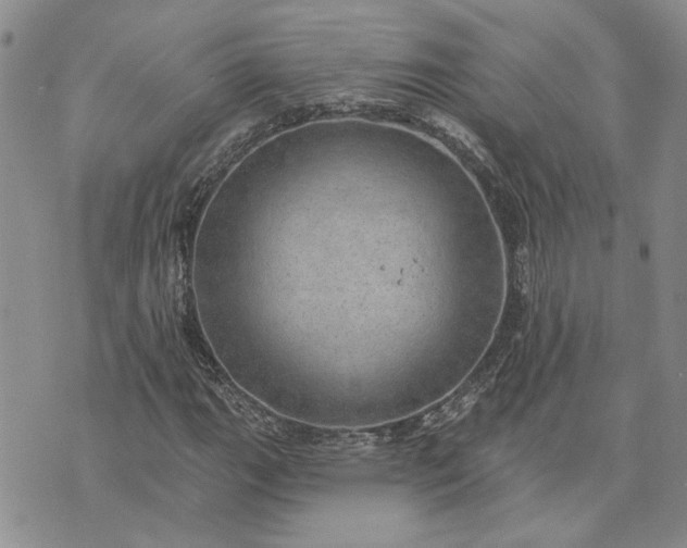 X0000072971111200608041211