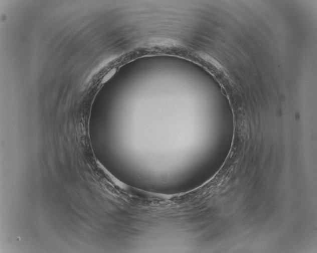 X0000072971112200608041211