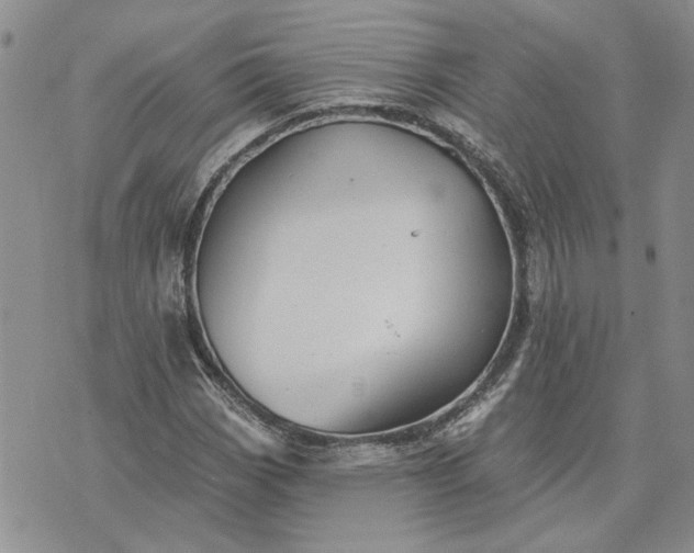 X0000072971113200608041211