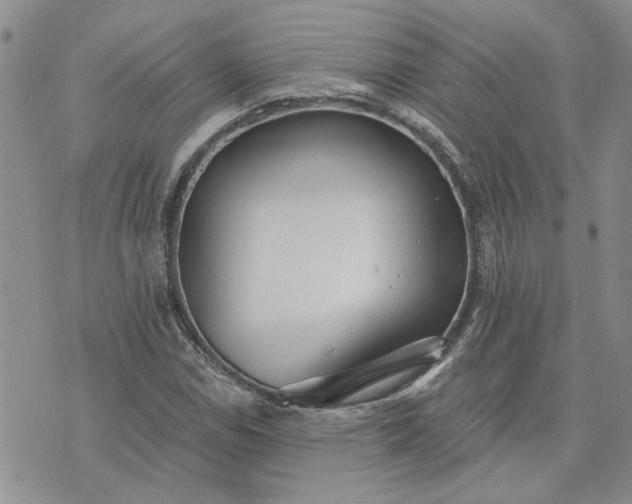 X0000072971114200608041211