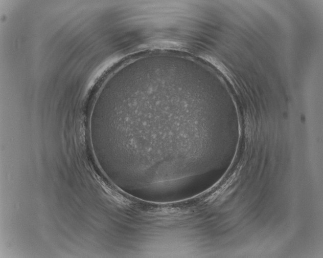 X0000072971115200608041211