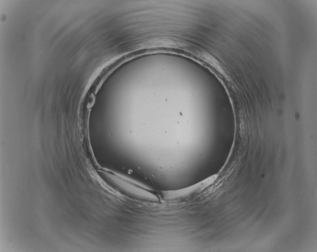 X0000072971116200608041211