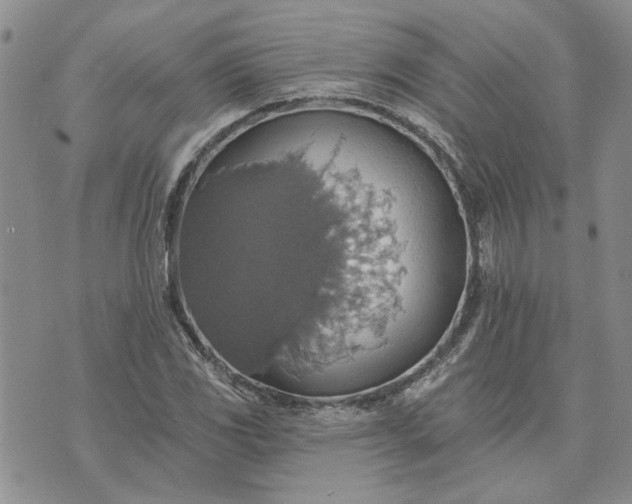 X0000072971117200608041211