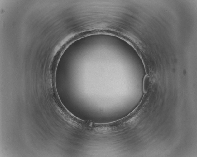 X0000072971118200608041211