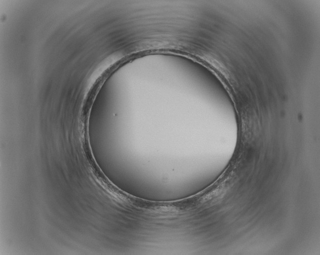 X0000072971119200608041211