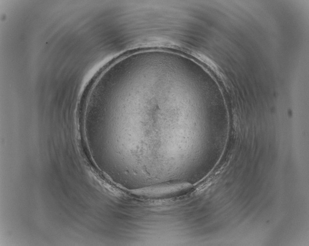 X0000072971120200608041211