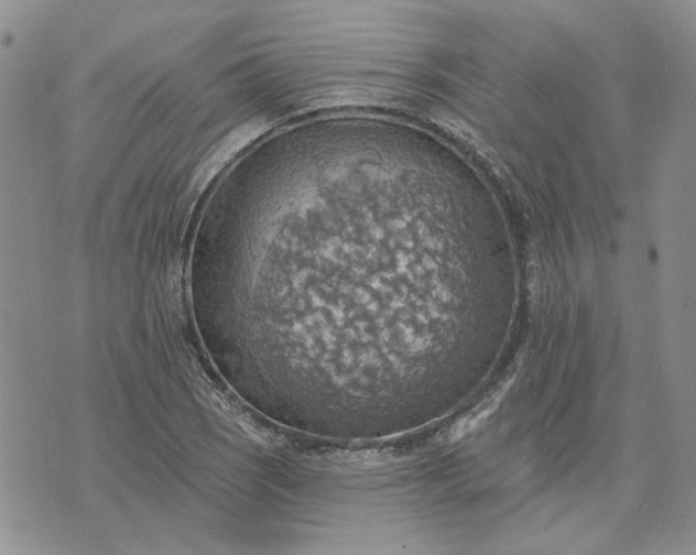 X0000072971121200608041211