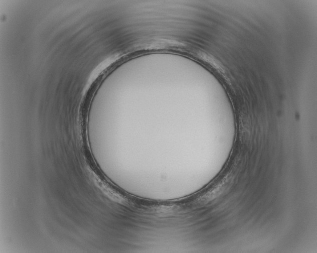 X0000072971122200608041211