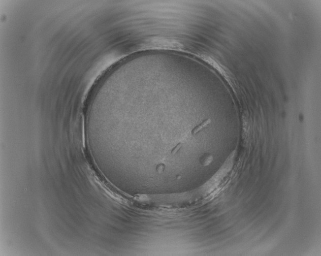 X0000072971123200608041211