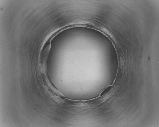 X0000072971124200608041211