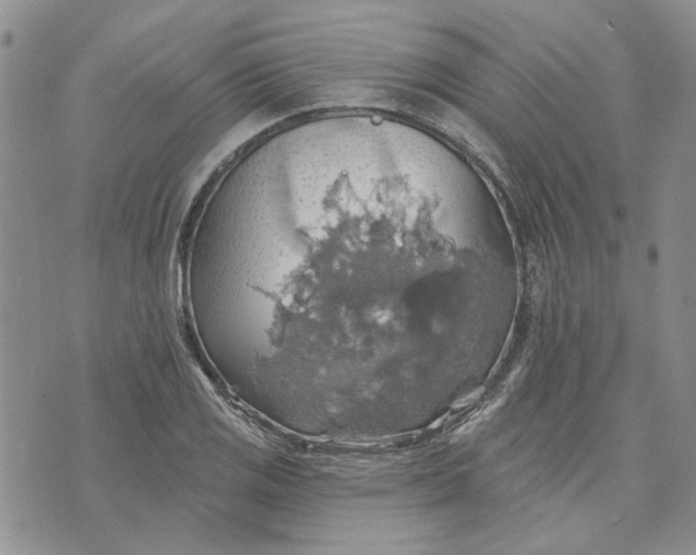 X0000072971125200608041211