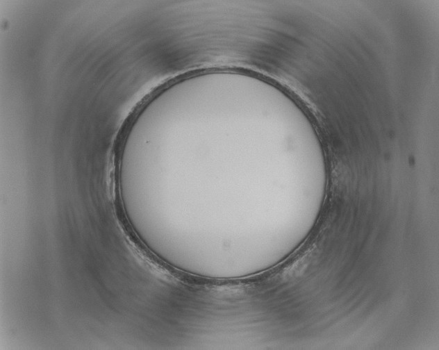 X0000072971126200608041211