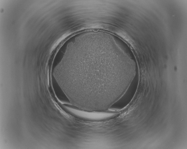 X0000072971127200608041211