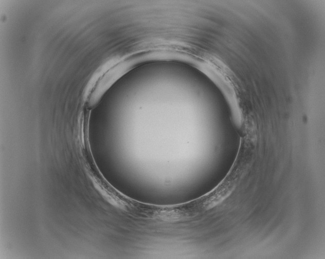 X0000072971128200608041211