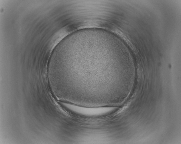 X0000072971129200608041211