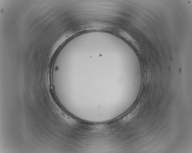 X0000072971130200608041211