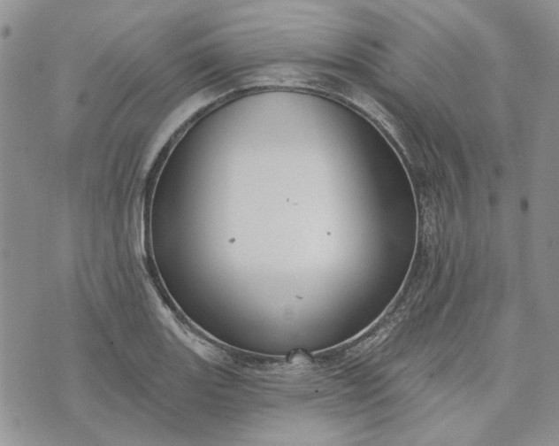 X0000072971131200608041211