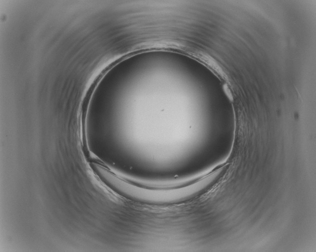 X0000072971132200608041211