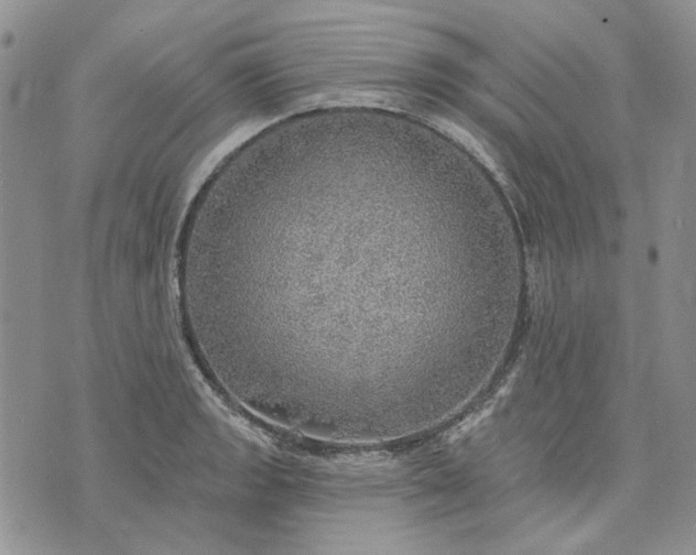 X0000072971133200608041211