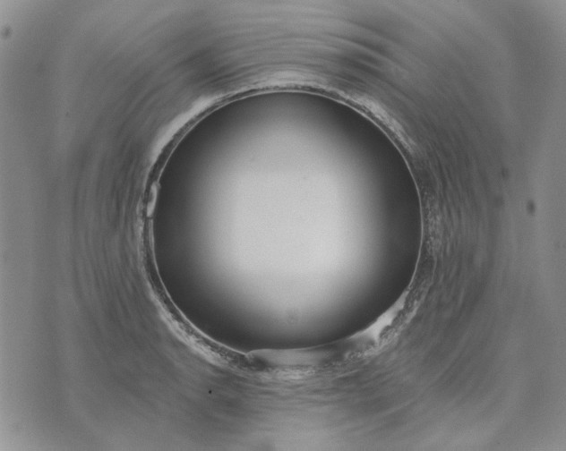 X0000072971134200608041211