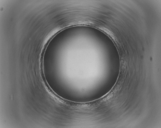 X0000072971135200608041211