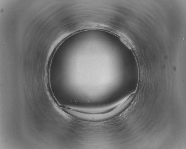 X0000072971136200608041211