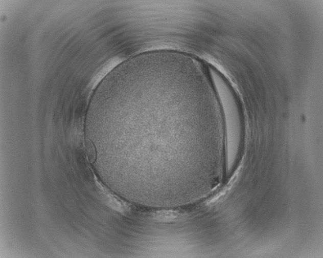 X0000072971137200608041211