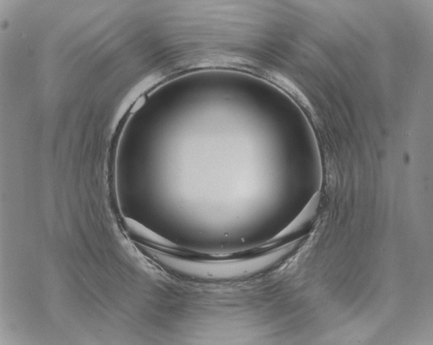 X0000072971138200608041211