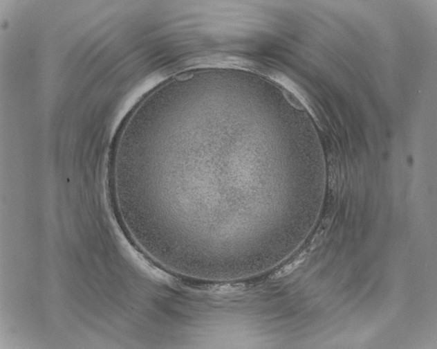 X0000072971139200608041211