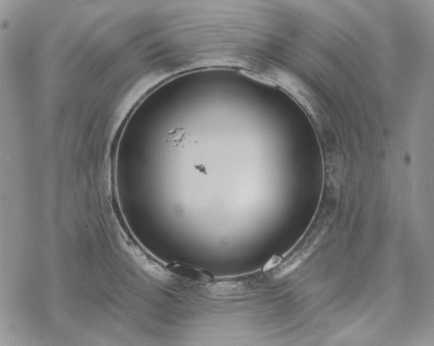 X0000072971140200608041211